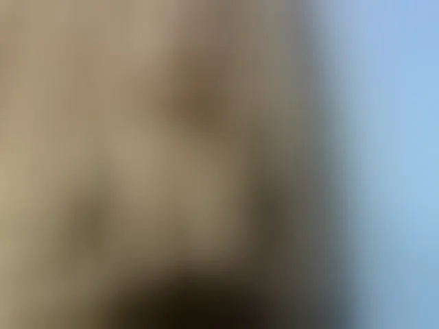 Live sex webcam photo for Elysa7 #293506622