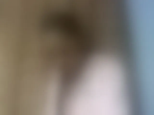 Live sex webcam photo for Elysa7 #293709375