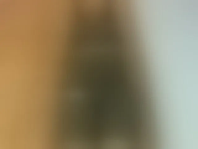 Live sex webcam photo for Elysa7 #293857221