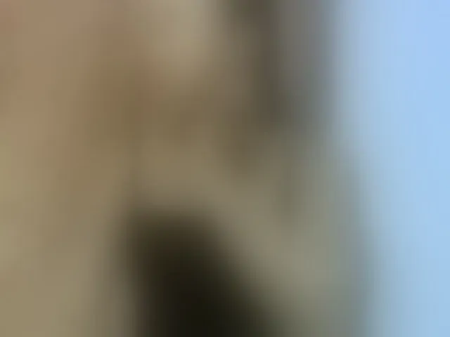 Live sex webcam photo for Elysa7 #293879990