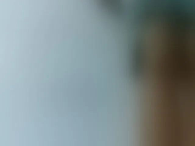 Live sex webcam photo for Emelie1a #293433739