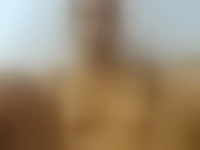 Live sex webcam photo for Emelie1a #293599599