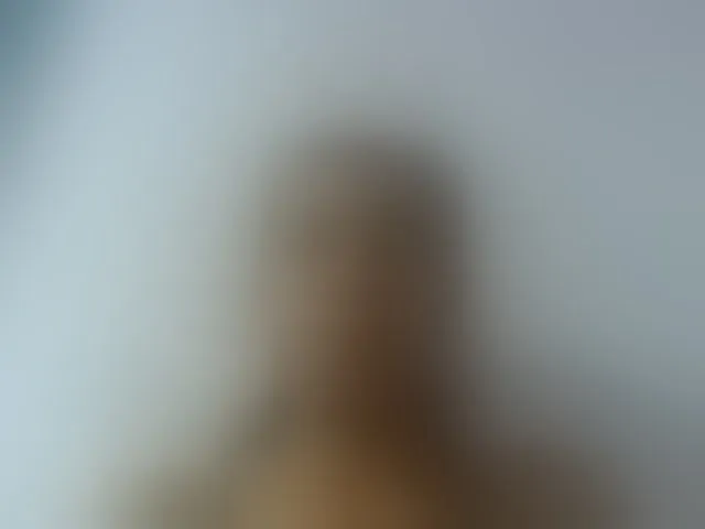 Live sex webcam photo for Emelie1a #293705532