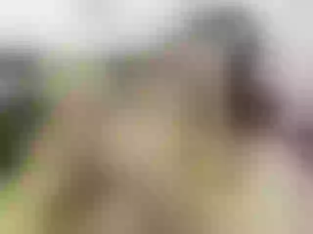 Live sex webcam photo for EmelyRose69 #276283246