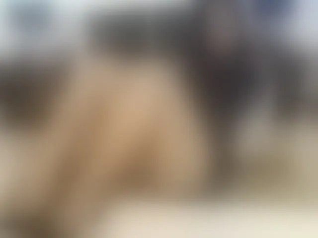 Live sex webcam photo for EmelyRose69 #276488239