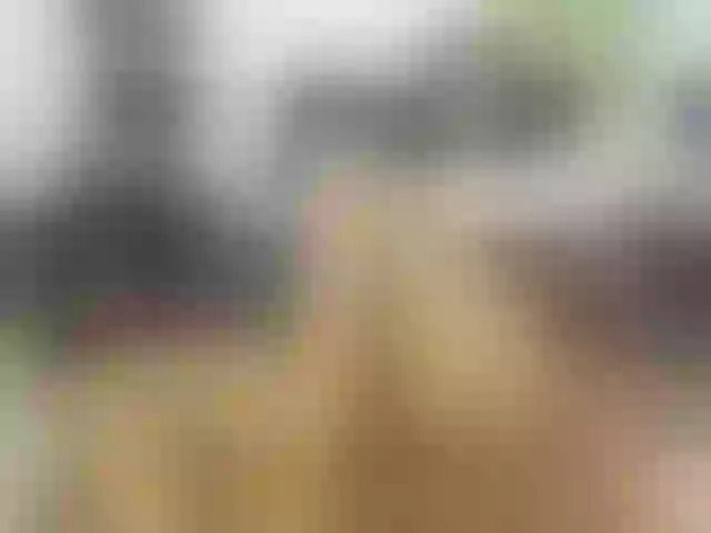 Live sex webcam photo for EmelyRose69 #277116056