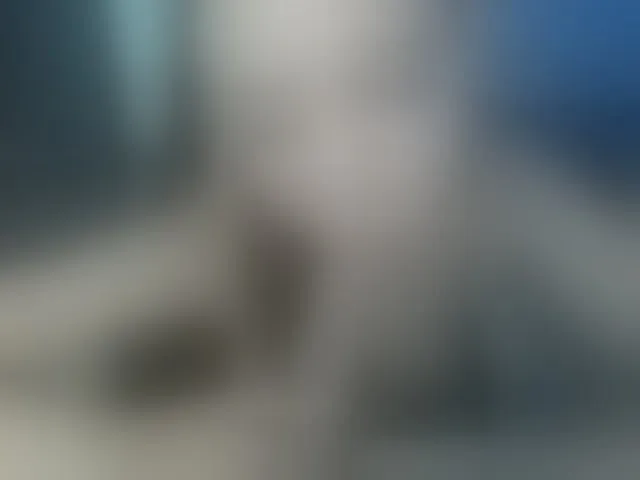 Live sex webcam photo for Emi-Emi #291135615