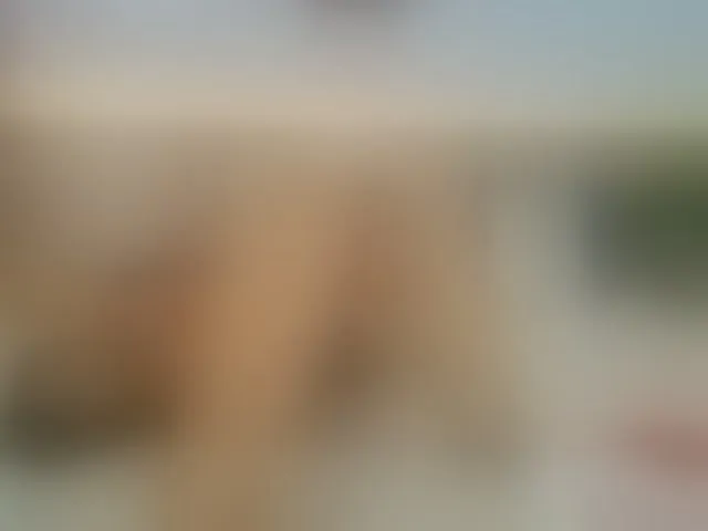 Live sex webcam photo for EmiliBonie #292551022