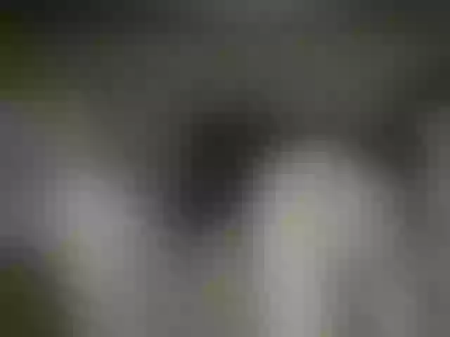 Live sex webcam photo for EmilyDee #272372335