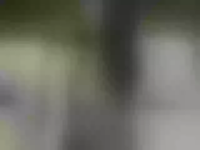 Live sex webcam photo for EmilyDee #272552190
