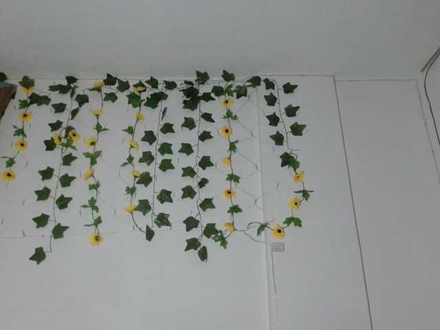 Live sex webcam photo for Emilyadamss #291579352