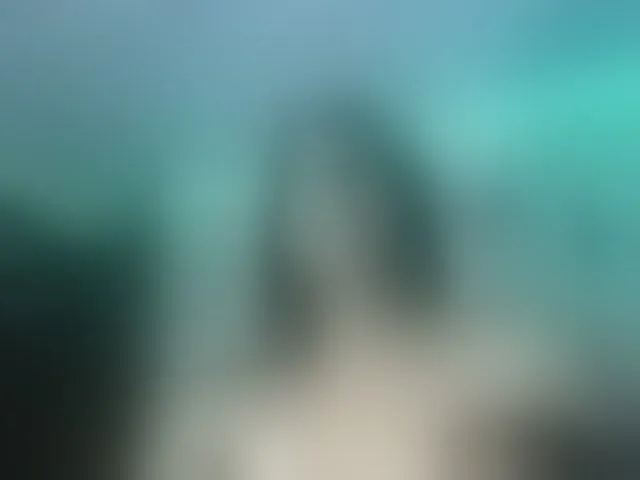 Live sex webcam photo for Emilyadamss #293494582