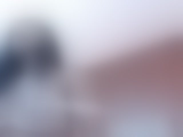 Live sex webcam photo for EmilyyWillis #294197746