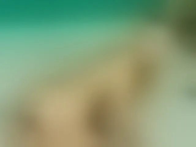 Live sex webcam photo for Emma-Donovani #292419743
