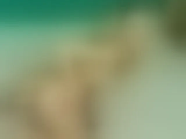 Live sex webcam photo for Emma-Donovani #292432574