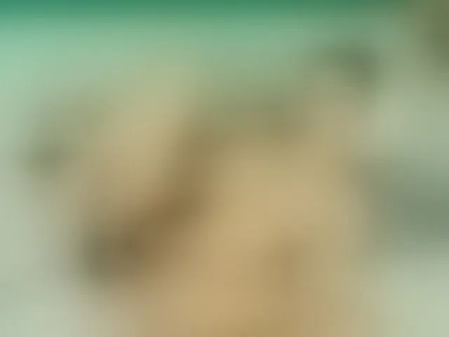 Live sex webcam photo for Emma-Donovani #292465720