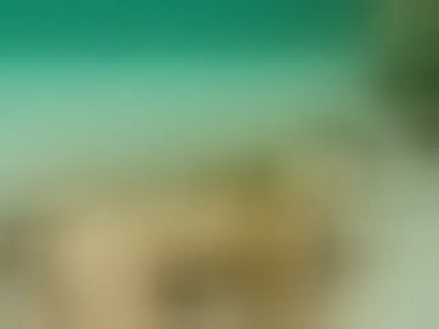Live sex webcam photo for Emma-Donovani #292478562
