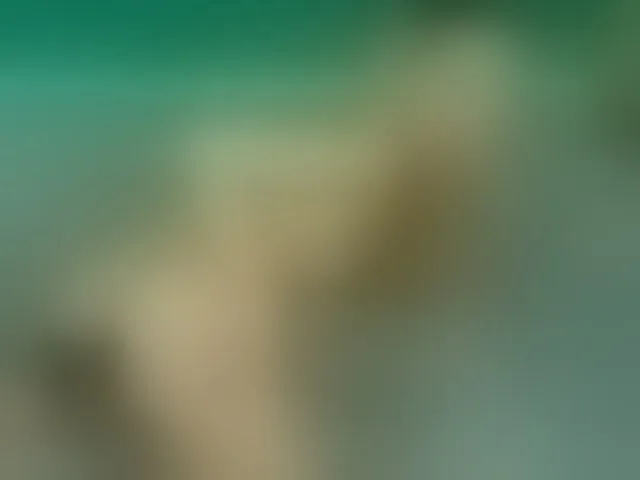 Live sex webcam photo for Emma-Donovani #292504747