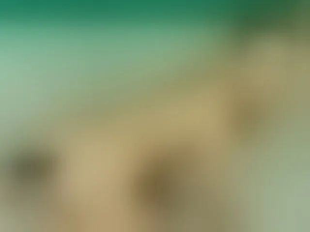 Live sex webcam photo for Emma-Donovani #292530208