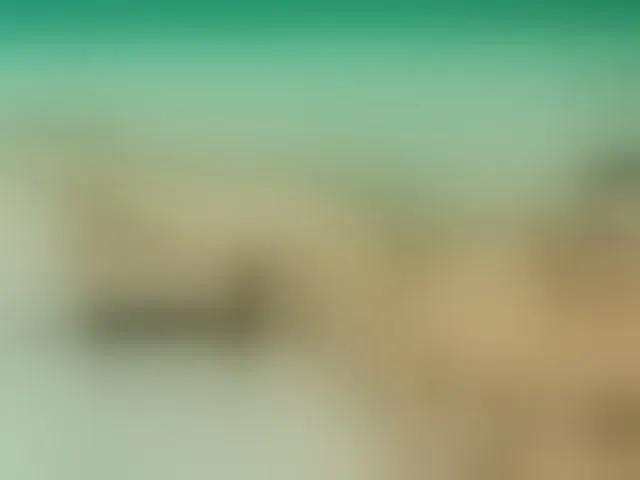 Live sex webcam photo for Emma-Donovani #292569404