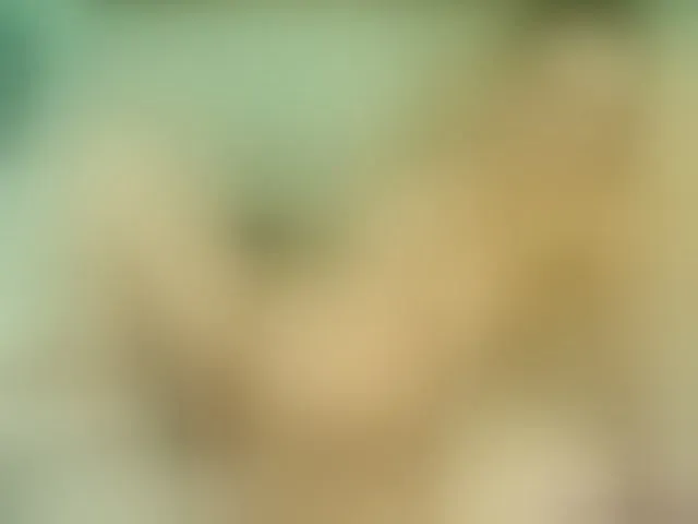 Live sex webcam photo for Emma-Donovani #292777025