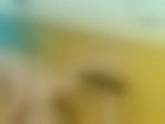 Live sex webcam photo for Emma-Donovani #293677633