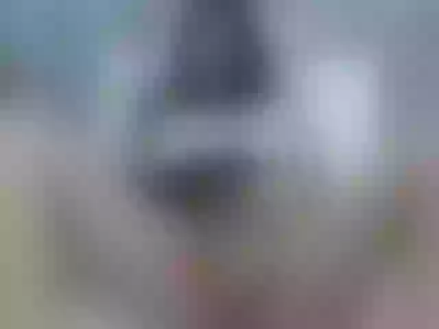 Live sex webcam photo for Emma-sweet69 #272079108