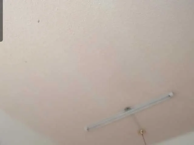 Live sex webcam photo for Emmysanderss #272277306