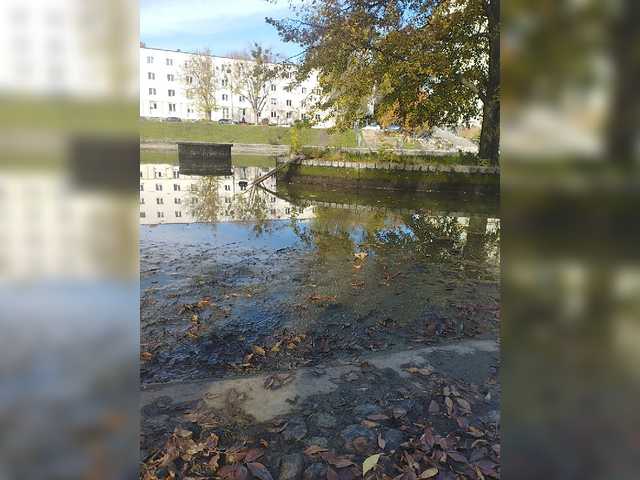 Live sex webcam photo for Era14 #276593473