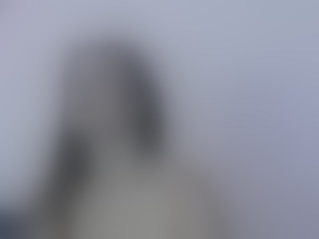 Live sex webcam photo for ErikaPinky #294230574