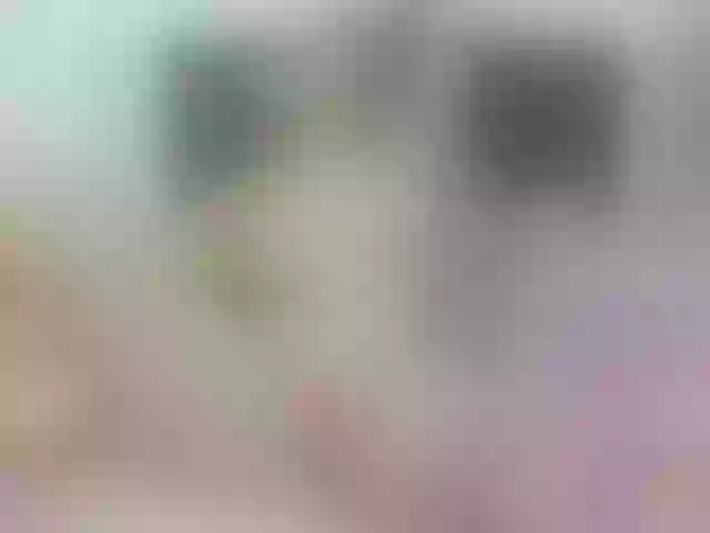 Live sex webcam photo for Erin- #291257349
