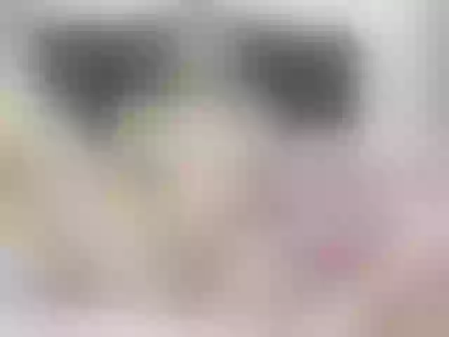 Live sex webcam photo for Erin- #291463494