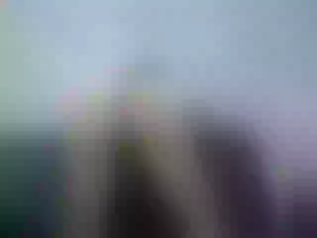 Live sex webcam photo for Eros-smith69 #277035171