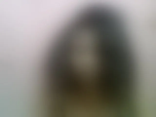 Live sex webcam photo for Estelahh #292392700