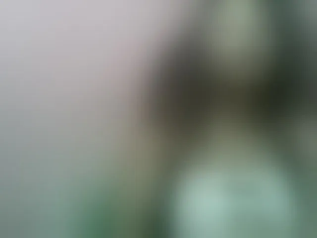Live sex webcam photo for Estelahh #292559959