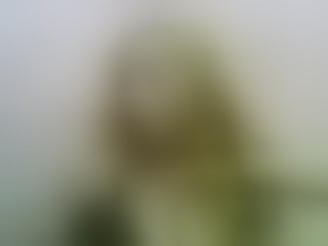 Live sex webcam photo for Estelahh #292575824