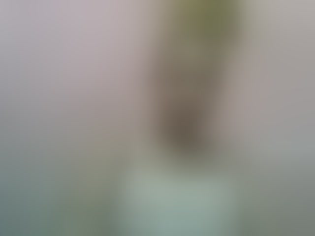 Live sex webcam photo for Estelahh #292593127