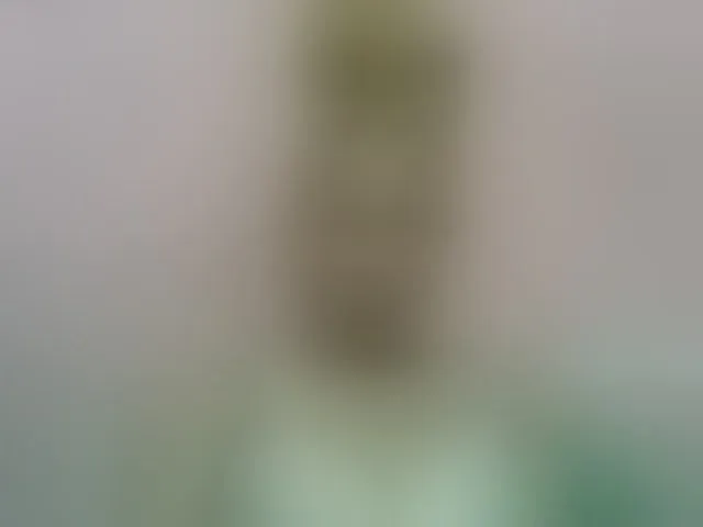 Live sex webcam photo for Estelahh #292610728