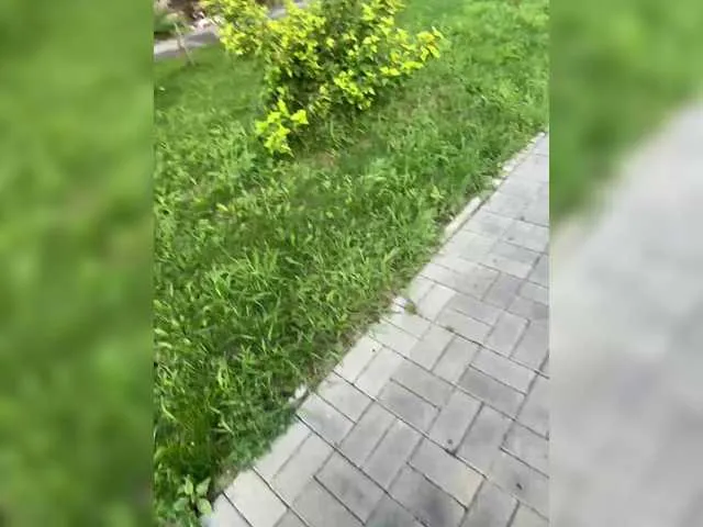 Live sex webcam photo for Etokiska #291501165