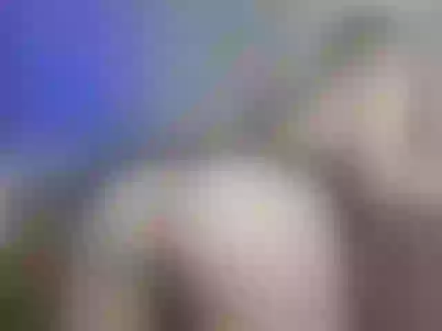 Live sex webcam photo for Eva--queen #280698710