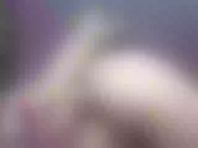 Live sex webcam photo for Eva--queen #290162754