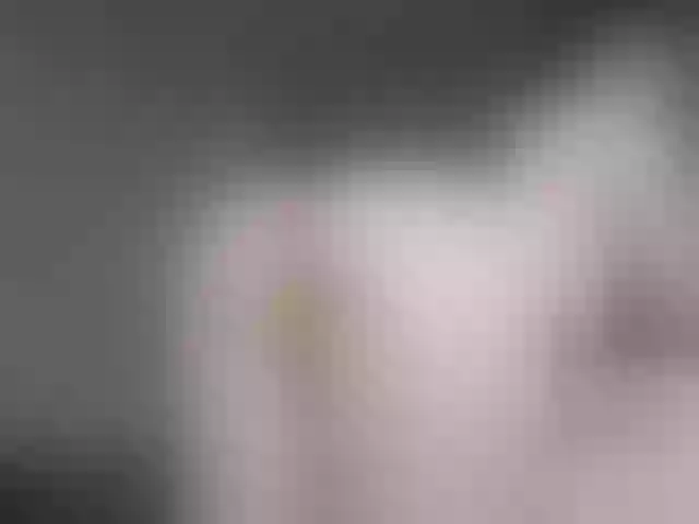 Live sex webcam photo for Eva--queen #292091206
