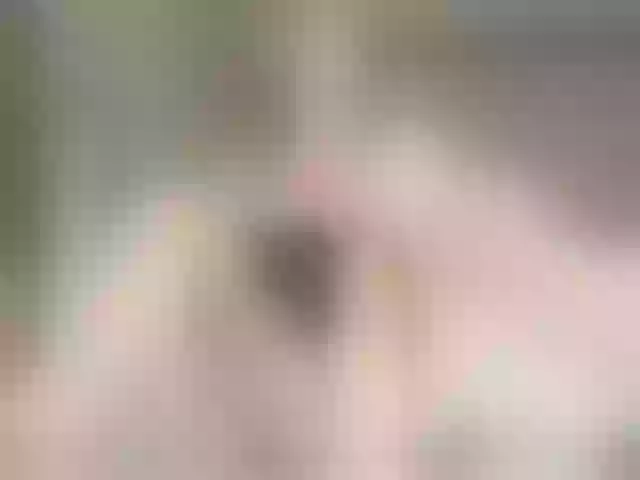 Live sex webcam photo for Eva-Rosy #291935793