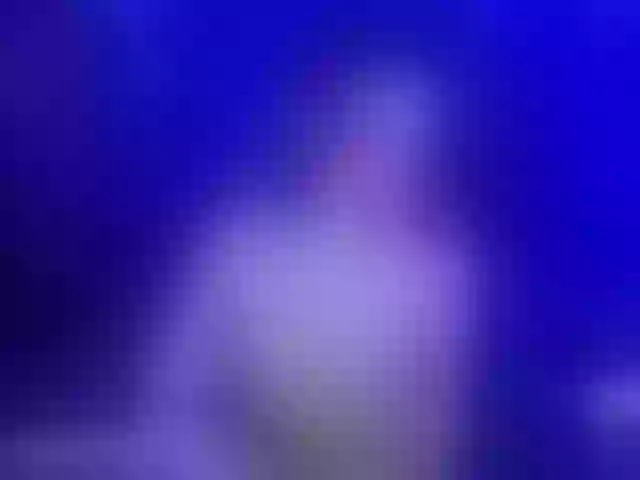 Live sex webcam photo for EvaBear #275602316