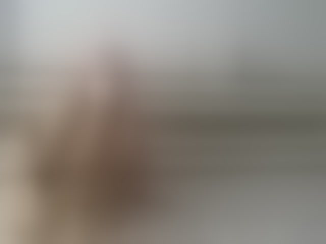 Live sex webcam photo for EvaJordan #290366680