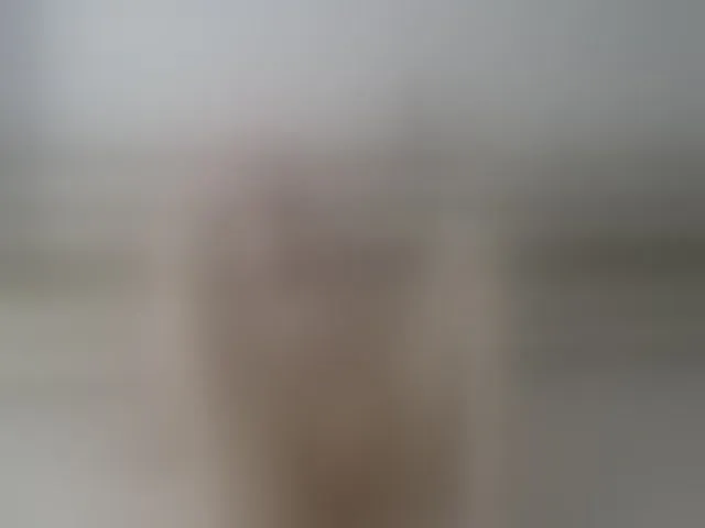 Live sex webcam photo for EvaJordan #290471965