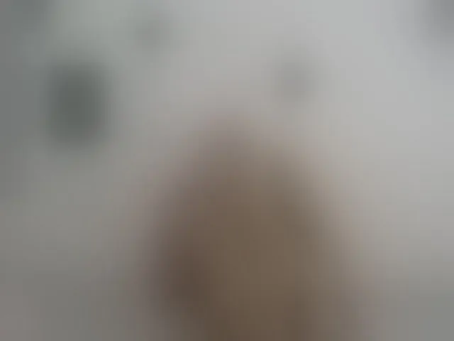 Live sex webcam photo for EvaJordan #292387390