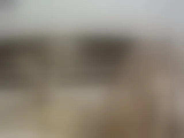 Live sex webcam photo for EvaJordan #293924488