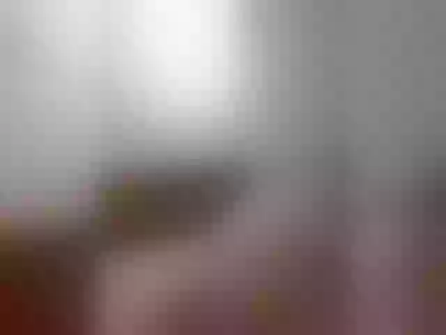 Live sex webcam photo for EvaLews #273722753