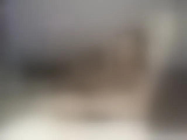 Live sex webcam photo for EvaLution5 #293396173